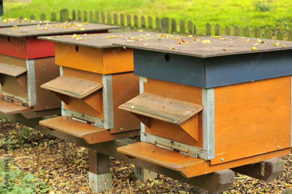 Colorful beehives Colorful beehives
