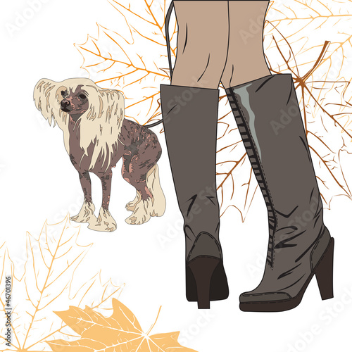 for a walk with the dog