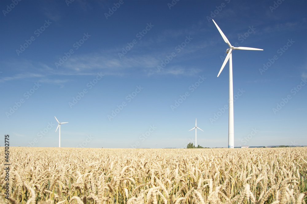 windmill and power line windmill and power line