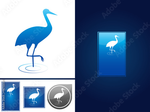 Crane bird