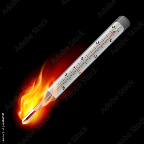 Medical thermometer