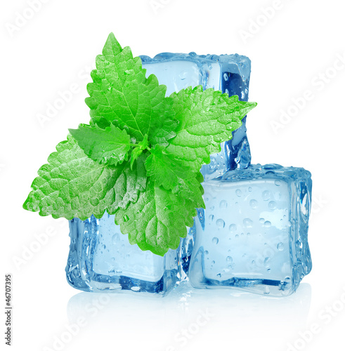 Three ice cubes and mint