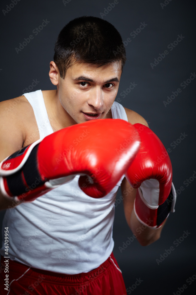 Male boxer