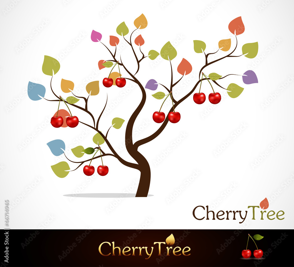 Fototapeta premium Colorful cherry tree