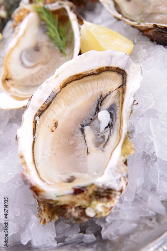 oyster served in ice