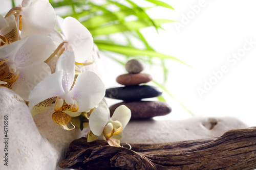 Spa concept with orchid and zen stones