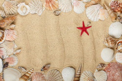 Sea shells frame on sand pattern
