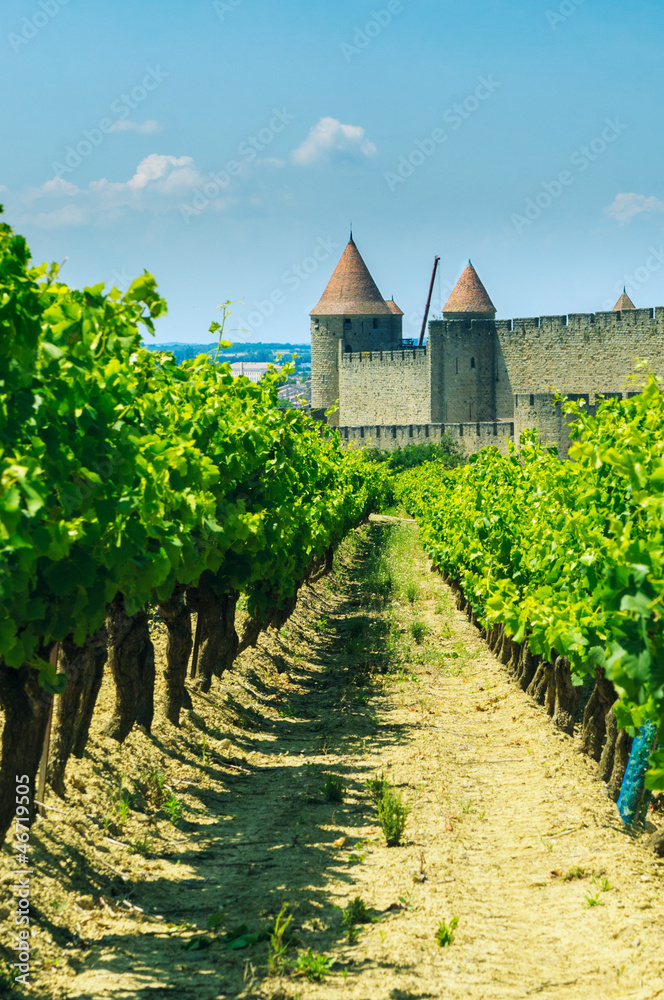 Medieval town of Carcassonne and vineyards