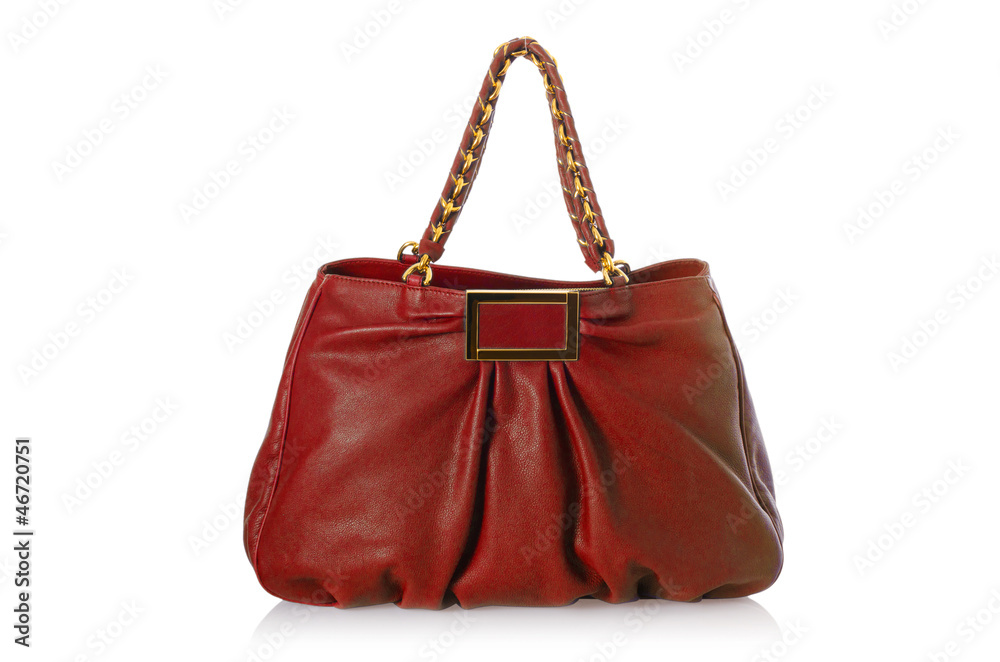 Elegant woman bag isolated on white Elegant woman bag isolated on white