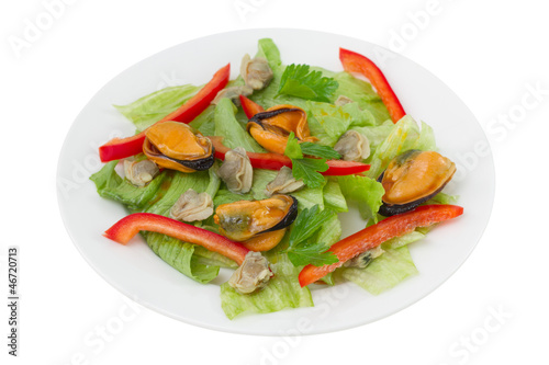 seafood salad on the plate on white background