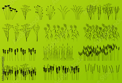 Plants, grass and flowers detailed silhouettes