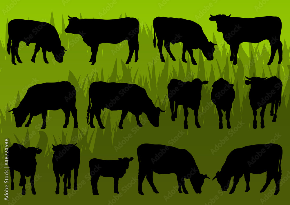 Beef cattle and cow detailed silhouettes illustration