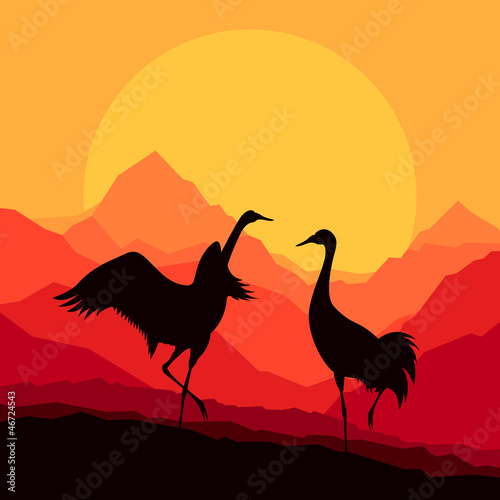 Crane flying in wild mountain nature landscape