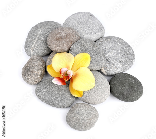 stones with orchid