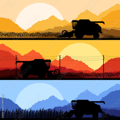 Combine harvesting crop in grain fields vector