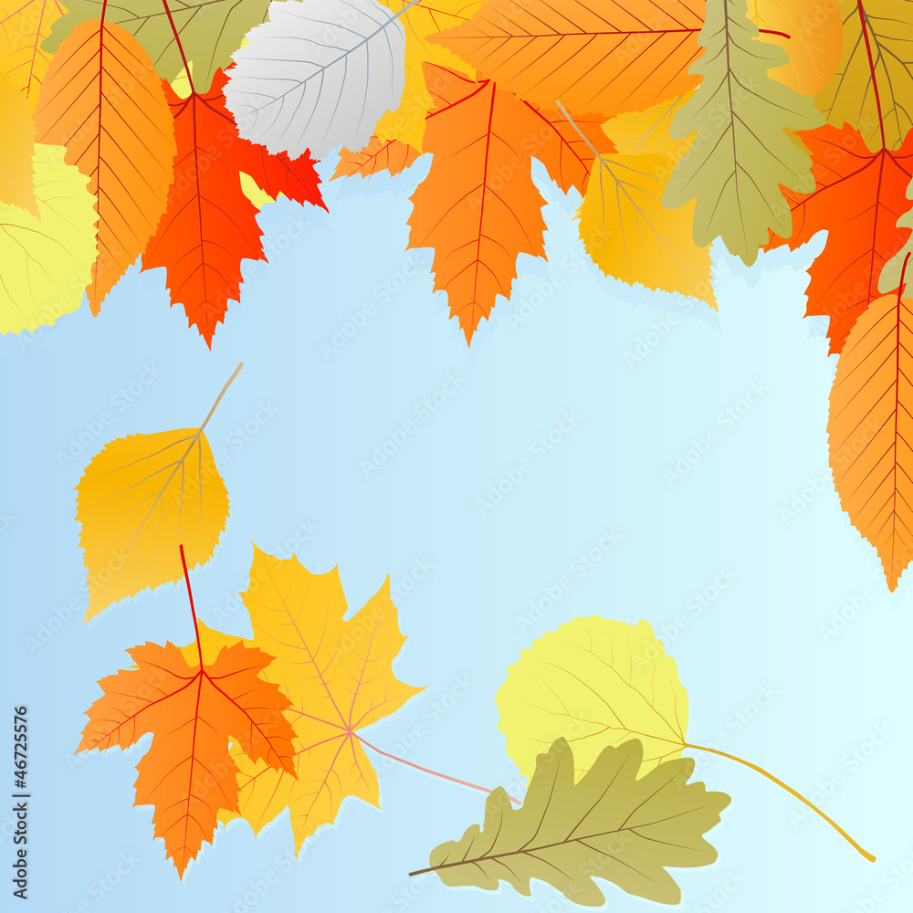 Obraz premium Leaves autumn vector background
