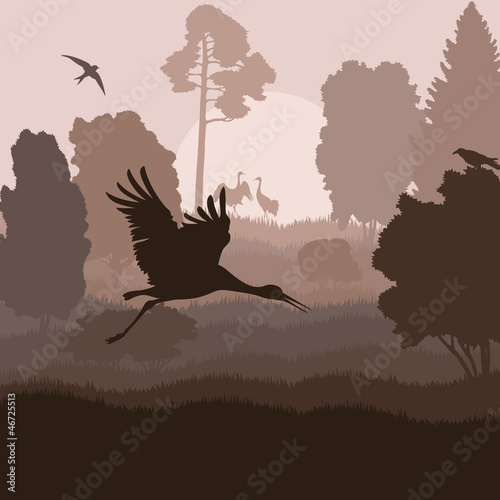 Bird crane landscape background vector