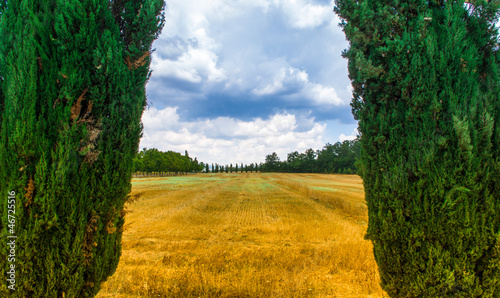 Colori Toscani