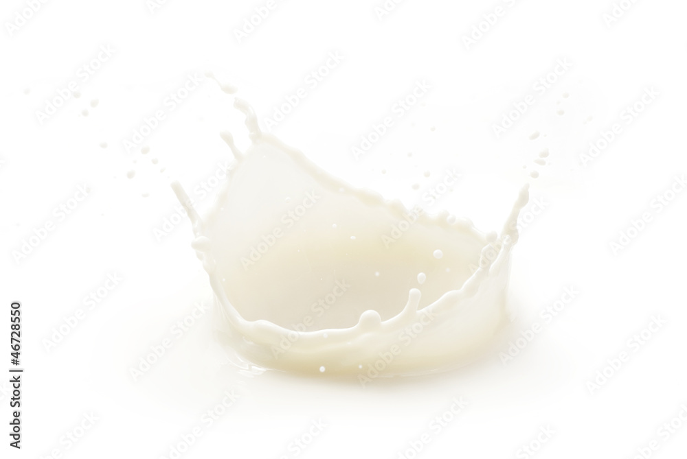 milk splash isolated on white milk splash isolated on white