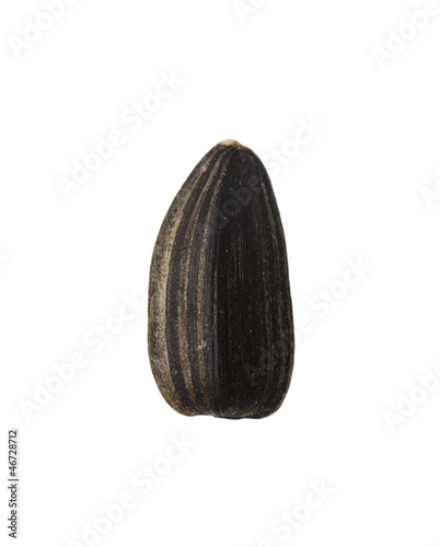 Wallpaper Mural black seeds on a white background. macro Torontodigital.ca