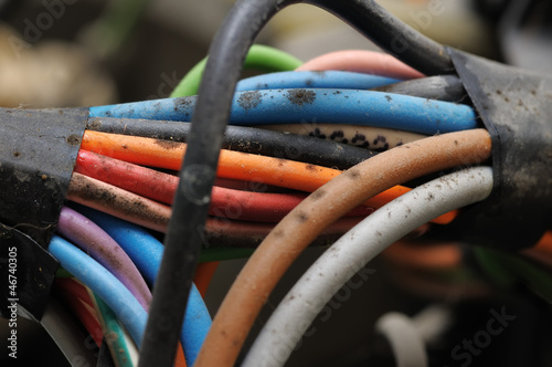 Mouldy electric cables.