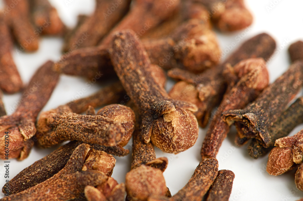 cloves against white background cloves against white background