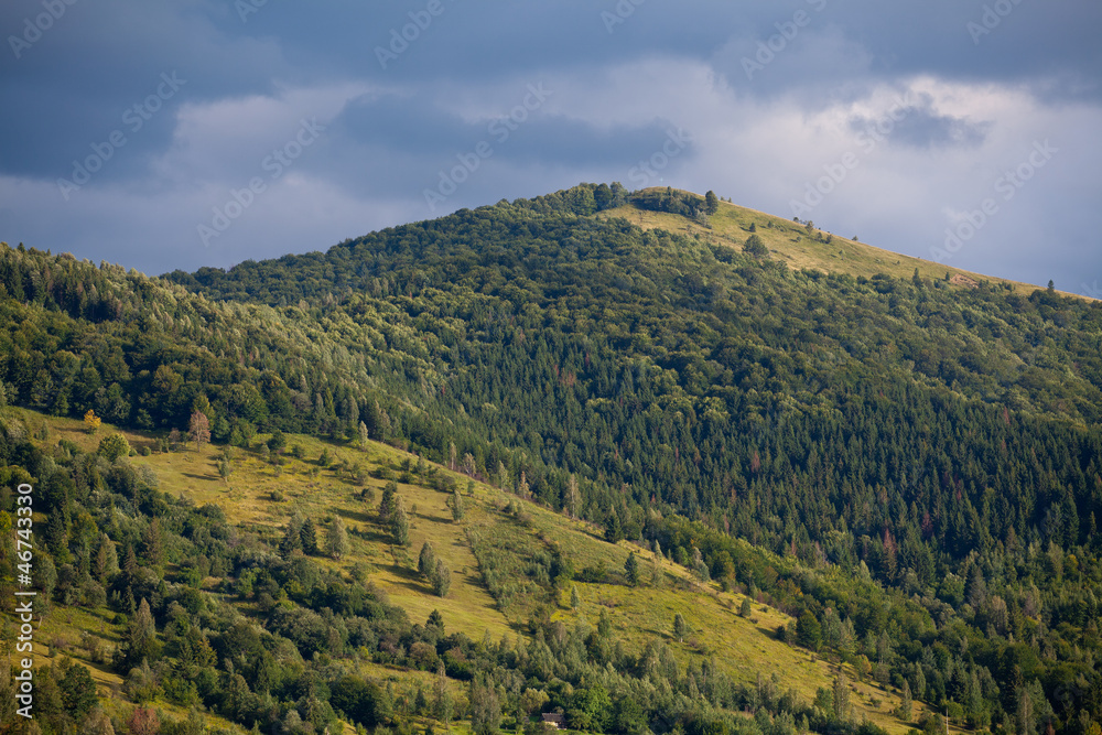 Fototapeta premium Карпаты2