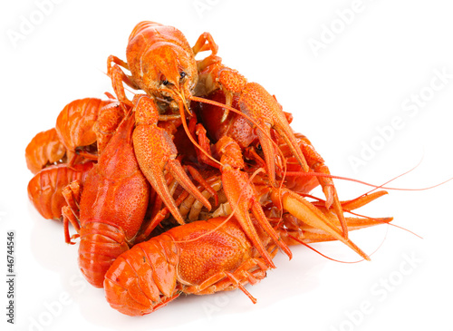 Tasty boiled crayfishes isolated on white