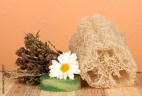Obraz na płótnie Loofah on color background