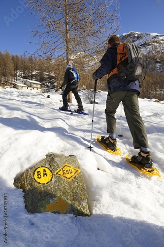 Ciaspolare nel bosco, Pian di Verra