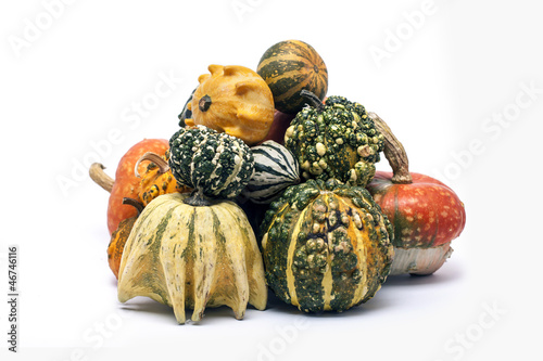 Obraz na płótnie Autumn pumpkins