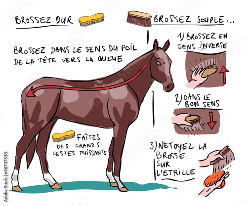 Equitation