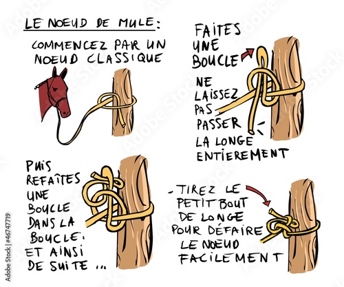 Equitation