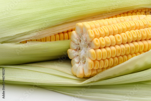 fresh corns and half corn