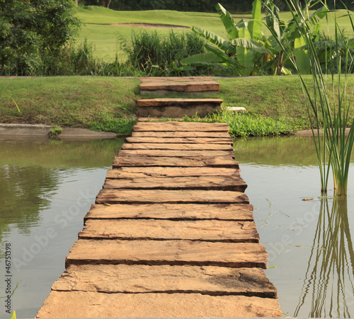 Stone path across pond