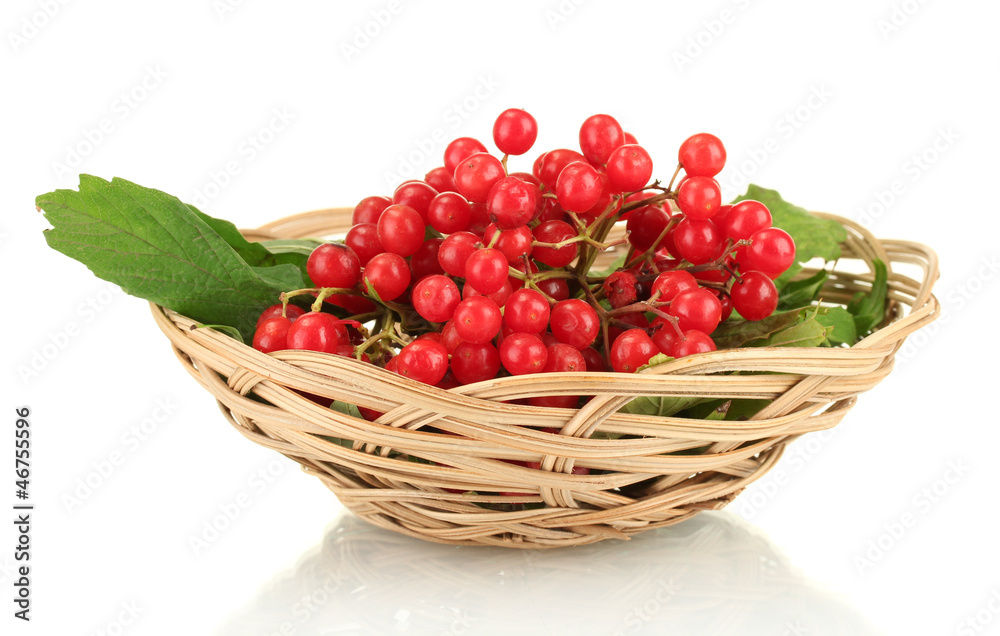 Ripe viburnum in a wicker basket isolated on white Ripe viburnum in a wicker basket isolated on white