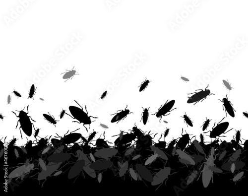 insekten1311a