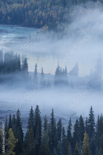 fog over river & forest in autumn