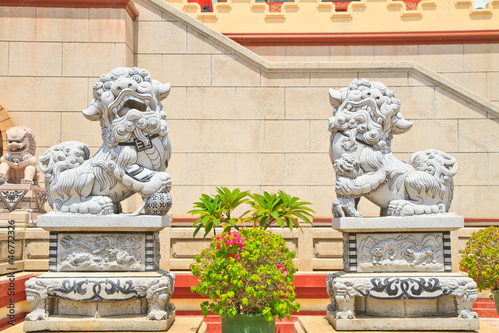 Obraz premium Lion Statue