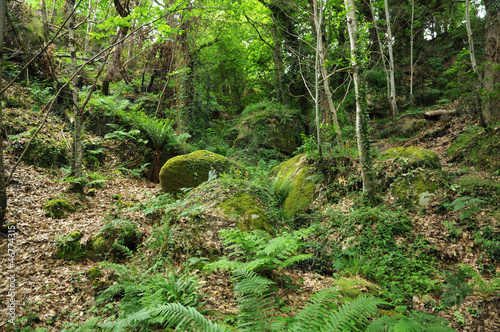 the valley of Traouieros in Ploumanac h photo