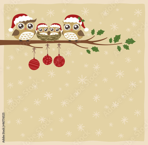 owl family christmas celebration