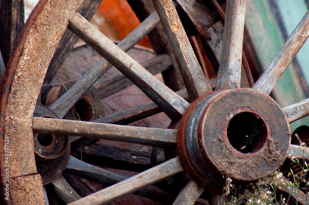 Horse car tire