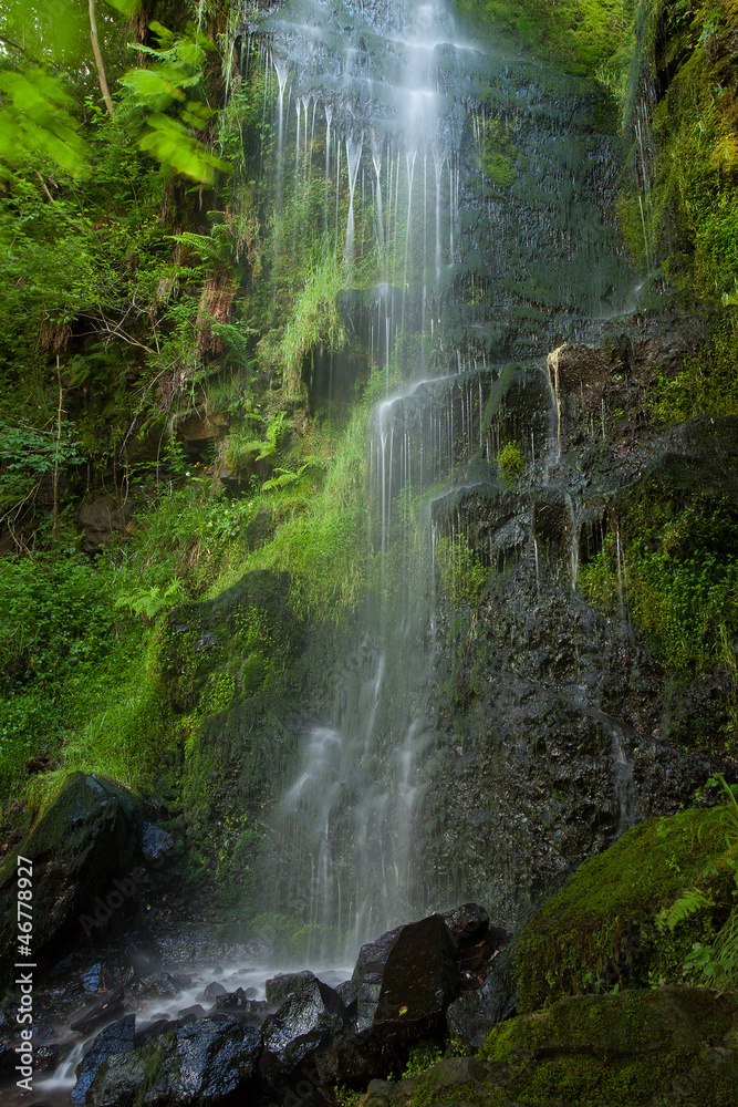 Obraz premium Mallyan Spout waterfall,North Yorkshire, England