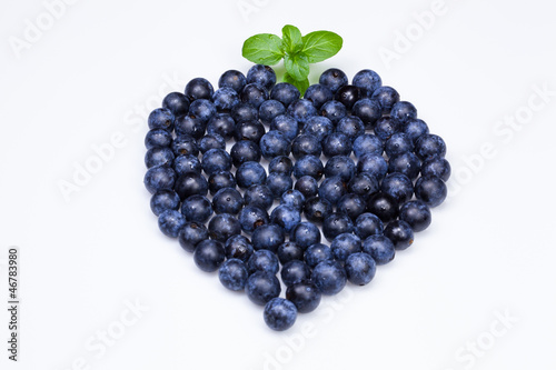 Blackthorn Fruit or Sloe - Prunus spinosa