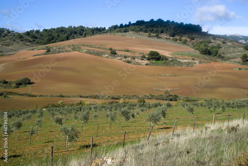 The natural park Sierra de las Nieves, Andalusia, Spain