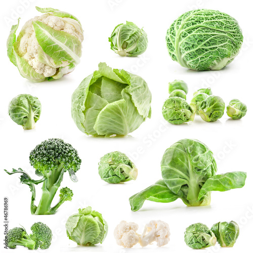 Collection of fresh cabbage, isolated on white background