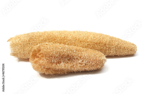 Natural Luffa sponge.isolated on white background