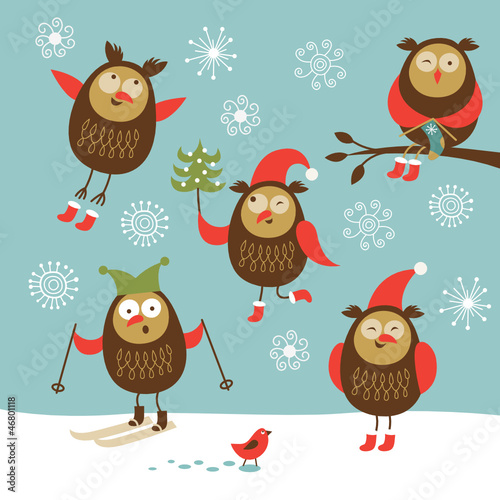 set of funny owls