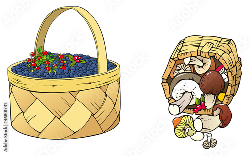 Berries and mushrooms in the baskets, vector