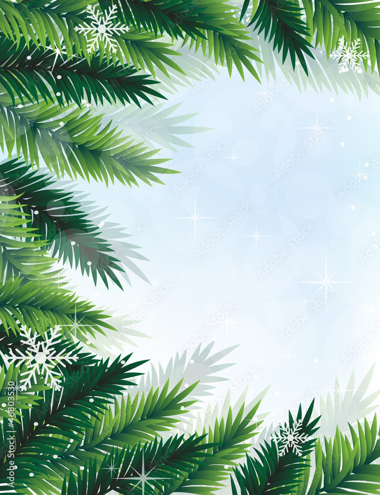 Christmas tree branches Christmas tree branches